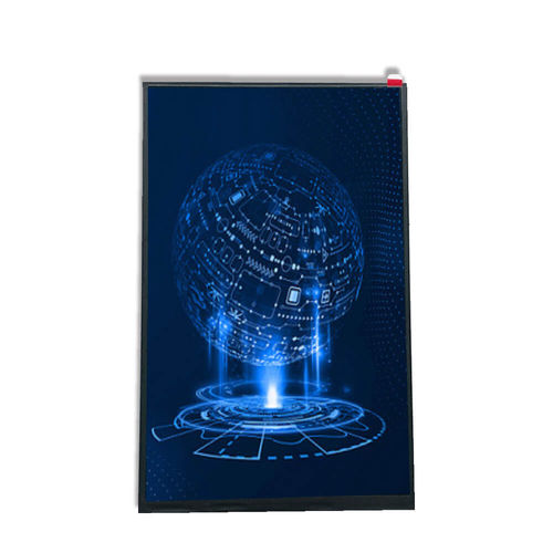Modulo di visualizzazione 10.1" - HG101WX022 - Shenzhen Hongguang Display Co., Ltd - TFT LCD / IPS / a colori