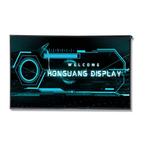Modulo di visualizzazione 16" - HG160WQ004 - Shenzhen Hongguang Display Co., Ltd - TFT LCD / IPS / ad alta risoluzione