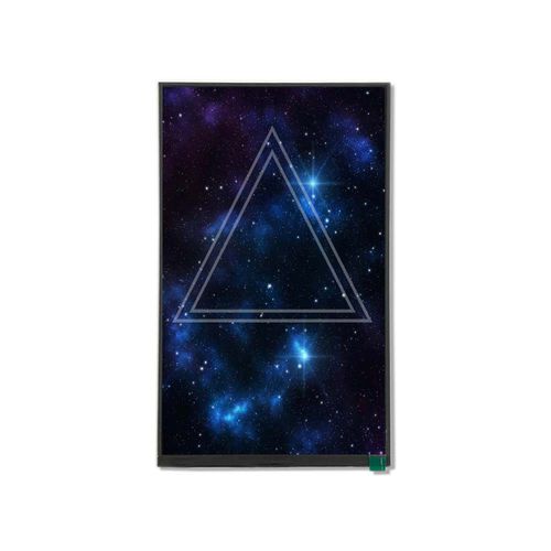 Modulo di visualizzazione TFT LCD - HG101WU010 - Shenzhen Hongguang Display Co., Ltd - IPS / ad alta risoluzione / 1200 x 1920