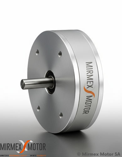 motore piatto - MIRMEX MOTOR