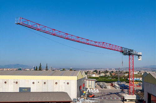 Gru montata su camion - TLS 60 14 - Gruas Saez - a torre / per cantiere / di sollevamento