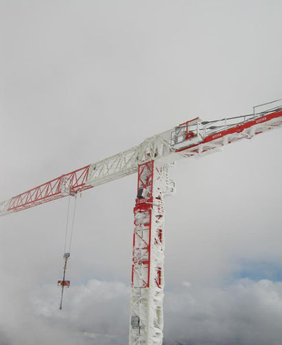 Gru montata su camion - TLS 65B 10T - Gruas Saez - a torre / per cantiere / di sollevamento
