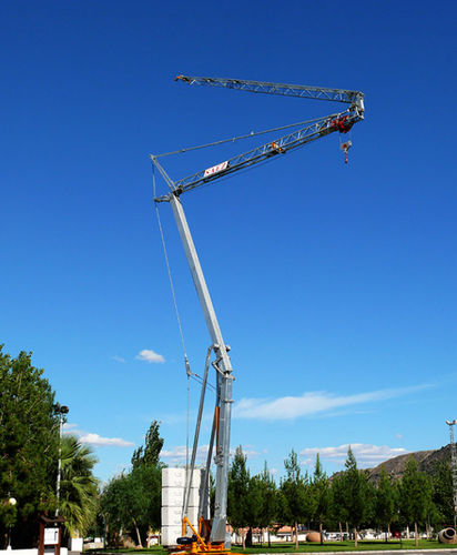 Gru montata su camion - H 25 - Gruas Saez - automontante / per cantiere / di sollevamento