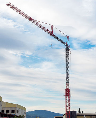 Gru montata su camion - HT 47 - Gruas Saez - a torre / automontante / per cantiere