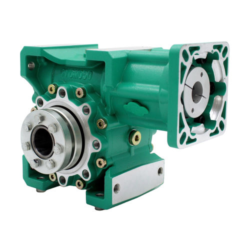 Riduttore a vite senza fine - CYCM50 - Chenyue (Jiangsu) Technology Co., Ltd. - ad assi ortogonali / ad albero pieno / a doppio albero di uscita