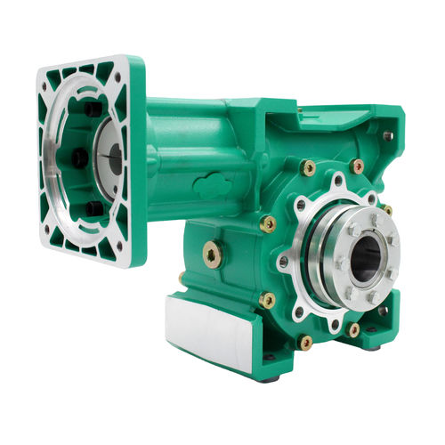 Riduttore a vite senza fine - CYCM75 - Chenyue (Jiangsu) Technology Co., Ltd. - ad assi ortogonali / ad albero pieno / a doppio albero di uscita