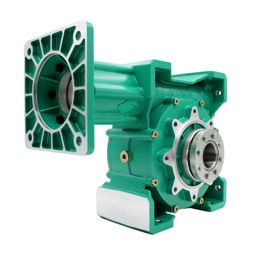 Riduttore a vite senza fine - CYCM110 - Chenyue (Jiangsu) Technology Co., Ltd. - ad assi ortogonali / ad albero pieno / a doppio albero di uscita