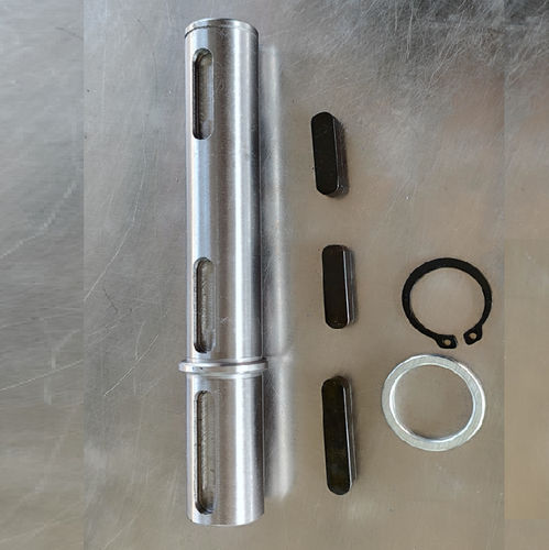 Albero di uscita - CYRV30-CYRV 110 - Chenyue (Jiangsu) Technology Co., Ltd. - in metallo / per riduttore