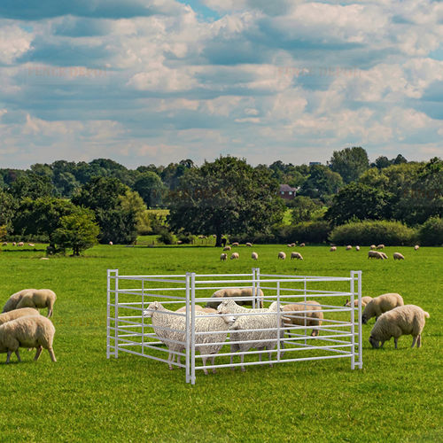 Recinzione temporanea - FDF102003 - Fence Depot