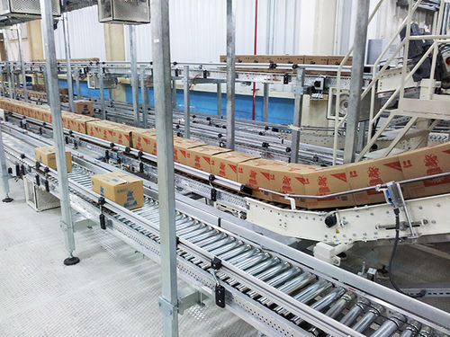 Trasportatore a rulli - Technica International - a catena / pneumatico / a cerniera