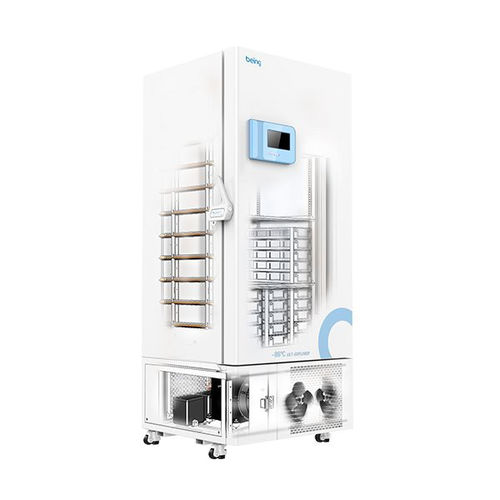 Congelatore verticale - BDW series  - BEING TECHNOLOGY - da laboratorio / bassa temperatura / in acciaio inossidabile