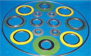 Guarnizione torica - Bombay Chemical Equipments - a spirale / in metallo / rotonda