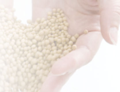 Setaccio per prodotti alimentari - Arkema France S.A. - per applicazioni alimentari / per applicazioni farmaceutiche