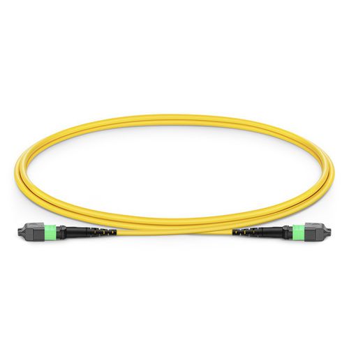 Cavo patch in fibra ottica - Wuhan Yilut Technology Co., Ltd. - tipo MPO / con pigtail