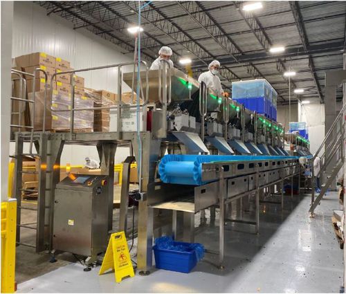 Sistema di miscelazione - PACKPLUS-MX6 - SEVVALUSA Nut Processing and Packaging Solutions