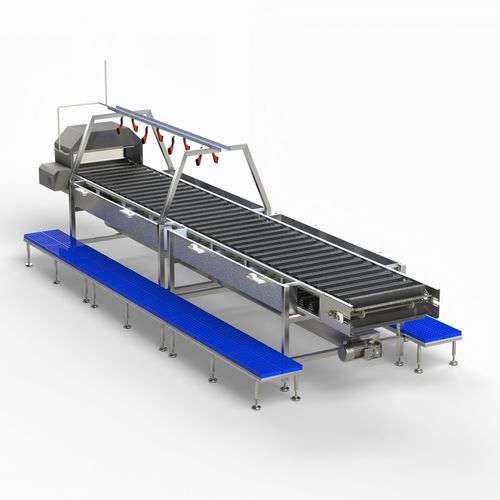 Decapitatrice per pesce - HIDRONER AQUACULTUR EQUIPMENTS