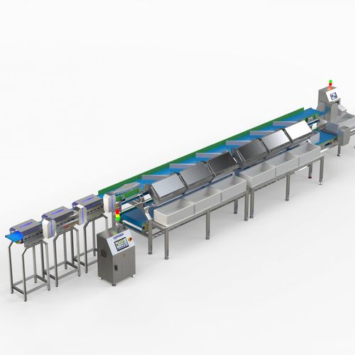 Calibratore per pesce - HIDRONER AQUACULTUR EQUIPMENTS - a nastro / con trasportatore
