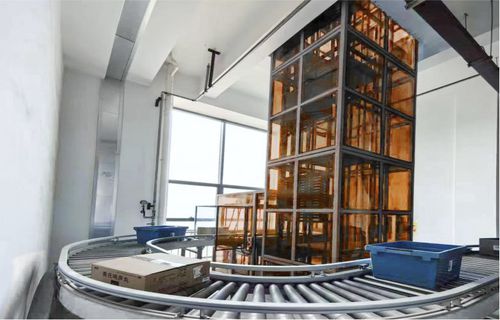 Trasportatore continuo - Suzhou APOLLO Automation Equipment Co., Ltd - a nastro / a catena / orizzontale
