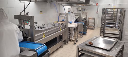 Friggitrice industriale in continuo - jose miguel sardinero blanco ( jsbmachinery) - per verdure / per snack / per carne