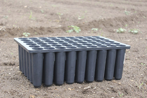 Plateau in plastica - Magnusberry