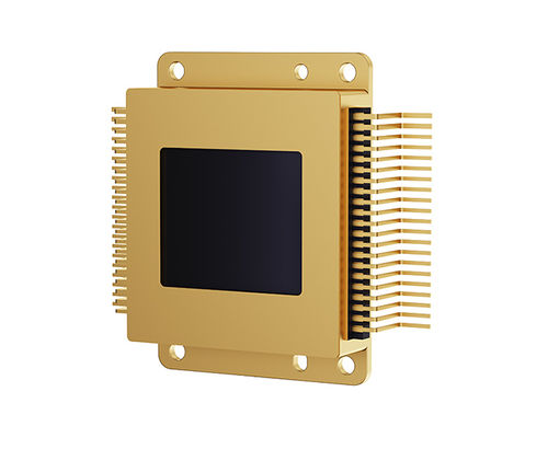Sensore di immagine con matrice sul piano focale - RSS101M1 - Raythink Technology Co., Ltd. - InGaAs / SWIR / a infrarossi