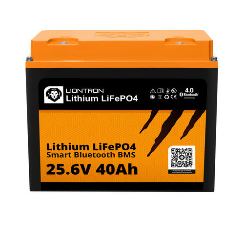 Batteria LiFePO4 - LISMART2440LX  - Liontron Ltd. - a blocco / M6 / CE