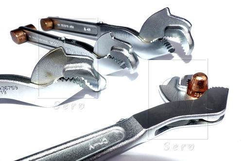 Macchine di rimozione testa e trachea - SERV