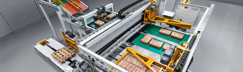 Pallettizzatore con impilatrice - paletpac® - BEUMER Group GmbH & Co.KG - per granuli / per movimentazione / automatico