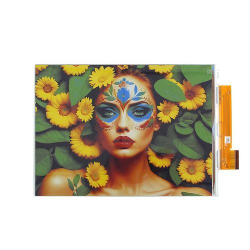 Display E-Paper - Ansenke Electronics CO.,LTD - a colori / ad alta definizione / 13.3"