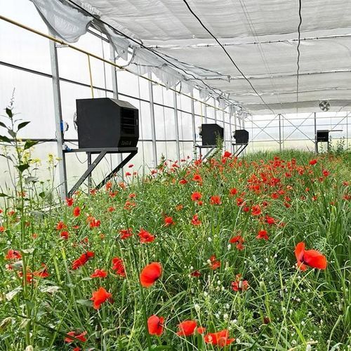 Generatore di aria calda a muro - Lodos 35 - Daygas Heating Systems - a gas