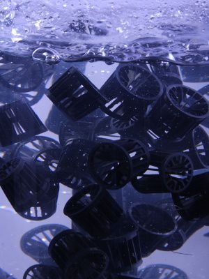 Reattore a pellicola biologica a letto mobile - MBBR - SFC Umwelttechnik GmBH - per trattamento di acque reflue / per il settore industriale / interamente automatizzato