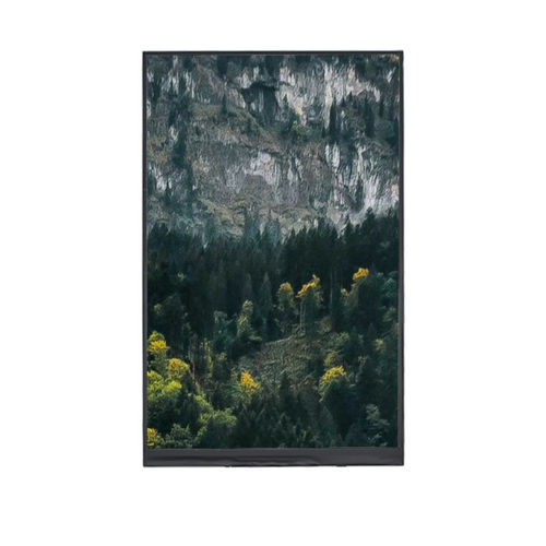 Modulo di visualizzazione TFT LCD - YX09020542416BB - Shenzhen Yousee Technology Co., Ltd. - a colori / 1024 x 600 / 9”