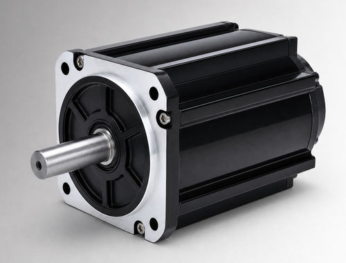 Motore brushless - CW130BLBT-19020-L5-H - NEOTON MOTOR - DC / BLCD / 72 V