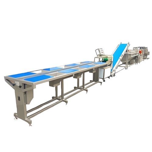 Linea di trasformazione per patate - Zhucheng Jiapin Food Machinery Co., Ltd. - per ortaggi da radice / per ortaggi da foglia / per insalata