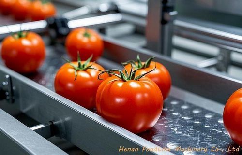 Smistatore per l'industria agroalimentare - Henan Hongtu Machinery Manufacturing Co., Ltd. - per applicazioni agricole / per colori / ottico