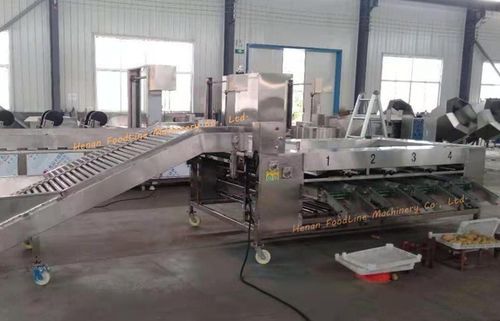 Smistatore per l'industria agroalimentare - Henan Hongtu Machinery Manufacturing Co., Ltd. - per applicazioni agricole / industriale / ottico