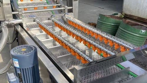Lavatrice agroalimentare per verdura - Henan Hongtu Machinery Manufacturing Co., Ltd. - per frutta / per spinaci / per fragole