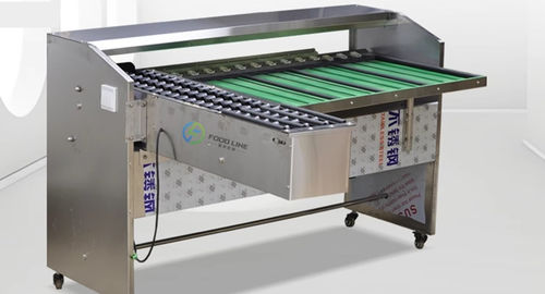 Calibratrice per uova - FL-G series - Henan Hongtu Machinery Manufacturing Co., Ltd. - ottica / meccanica / a rulli