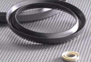 Guarnizione a labbro - GREENE TWEED - in elastomero / a V