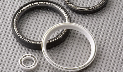 Guarnizione a labbro - MSE® - GREENE TWEED - a molla / PTFE / circolare