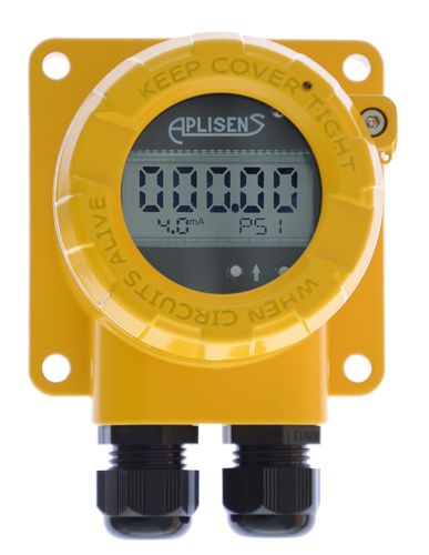 Indicatore universale - WW-11ALW - APLISENS S.A. - digitale / in linea / integrato