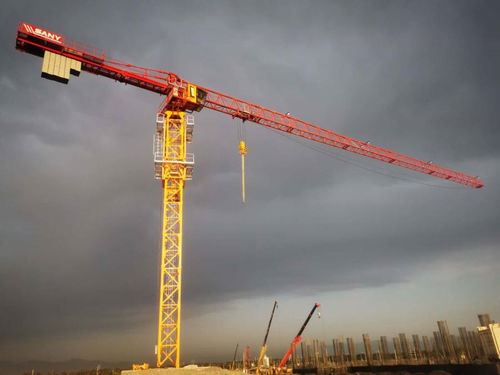 Gru fissa - SFT100(T6013-8) - SANY - a torre topless / per cantiere / di sollevamento