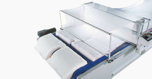 Trasportatore pneumatico sotto vuoto - EasiHold™ - Eastman Machine Company
