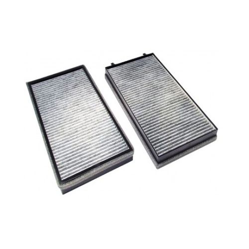 Filtro ad aria - Delphi Power Train - antipolvere / a carboni attivi / per applicazioni automotive
