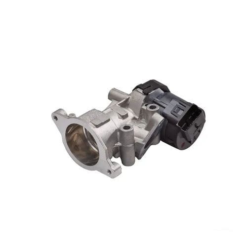 Valvola EGR - EGR - Delphi Power Train - a pistone / con attuatore elettrico / per controllo di flusso