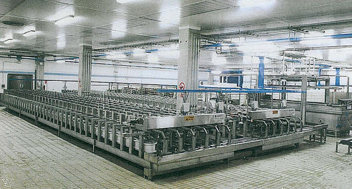 Pressa pneumatica - Magnabosco - per stampaggio / di produzione