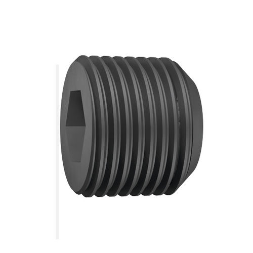 Tappo cilindrico - GZ359314 - EMUGE-FRANKEN - maschio / filettato / in plastica