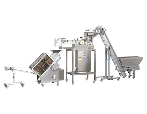 Confezionatrice verticale - Mod. VTR-1+CA - Gasparin S.r.l. Brevetti - inclinata / flow-pack / automatica