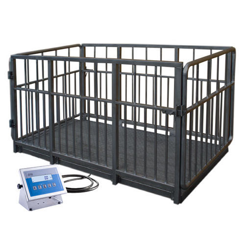 Bilancia per bestiame - H315 4I series - RADWAG - a piattaforma / chilogrammo / con monitor separato