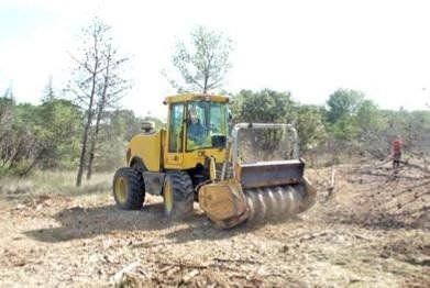 Decespugliatrice forestale - 300NF - UNAC